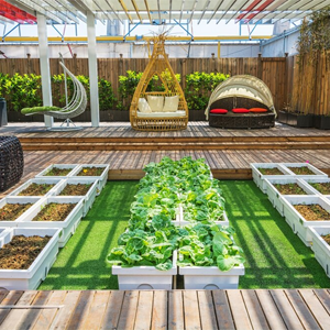 Patio & Garden Design